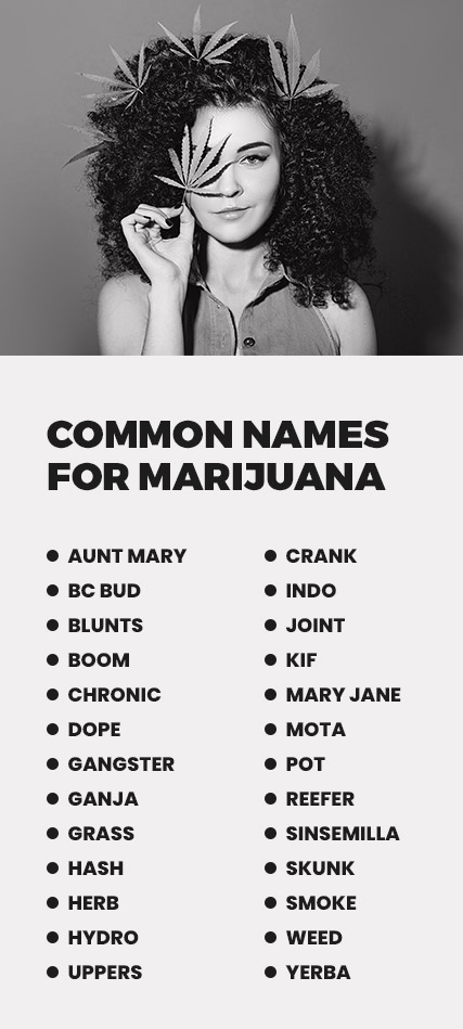 how long does weed stay in your system | Gratitude Lodge