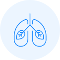 lungs icon