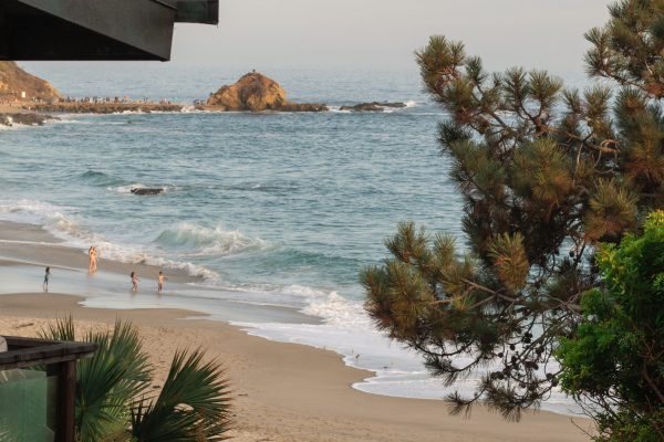 an image of the beach